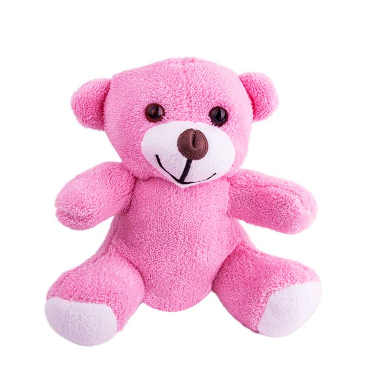 Personalized Pink Plush Bear | Add Photo/Text | Unique Gift for Kids and Adults | Custom Toy